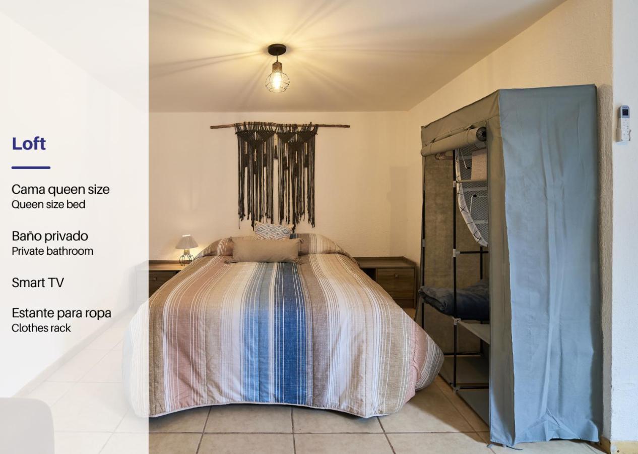 Cozy Studio In Roma Norte Città del Messico Esterno foto